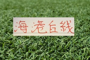 爱游戏体育登录入口-一个主力中后卫都没有 难怪海港0比6热身赛惨败俄超劲旅泽尼特